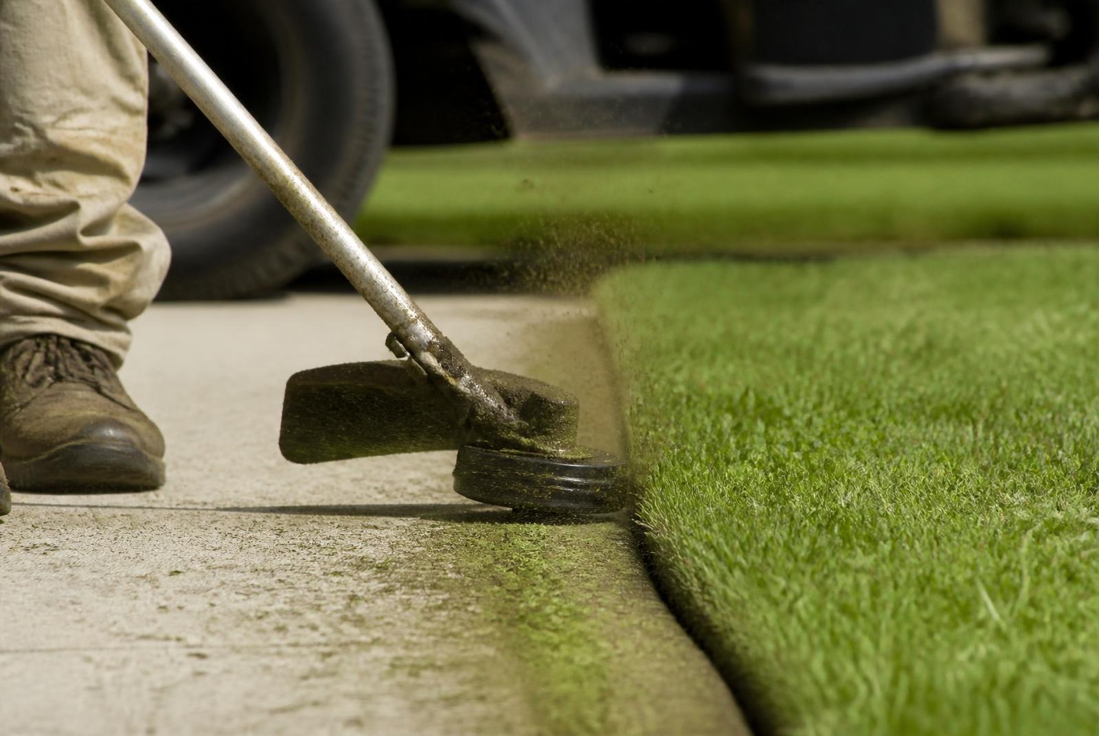 Sharp spade-cut edge separating mulch bed from green lawn along a walkway